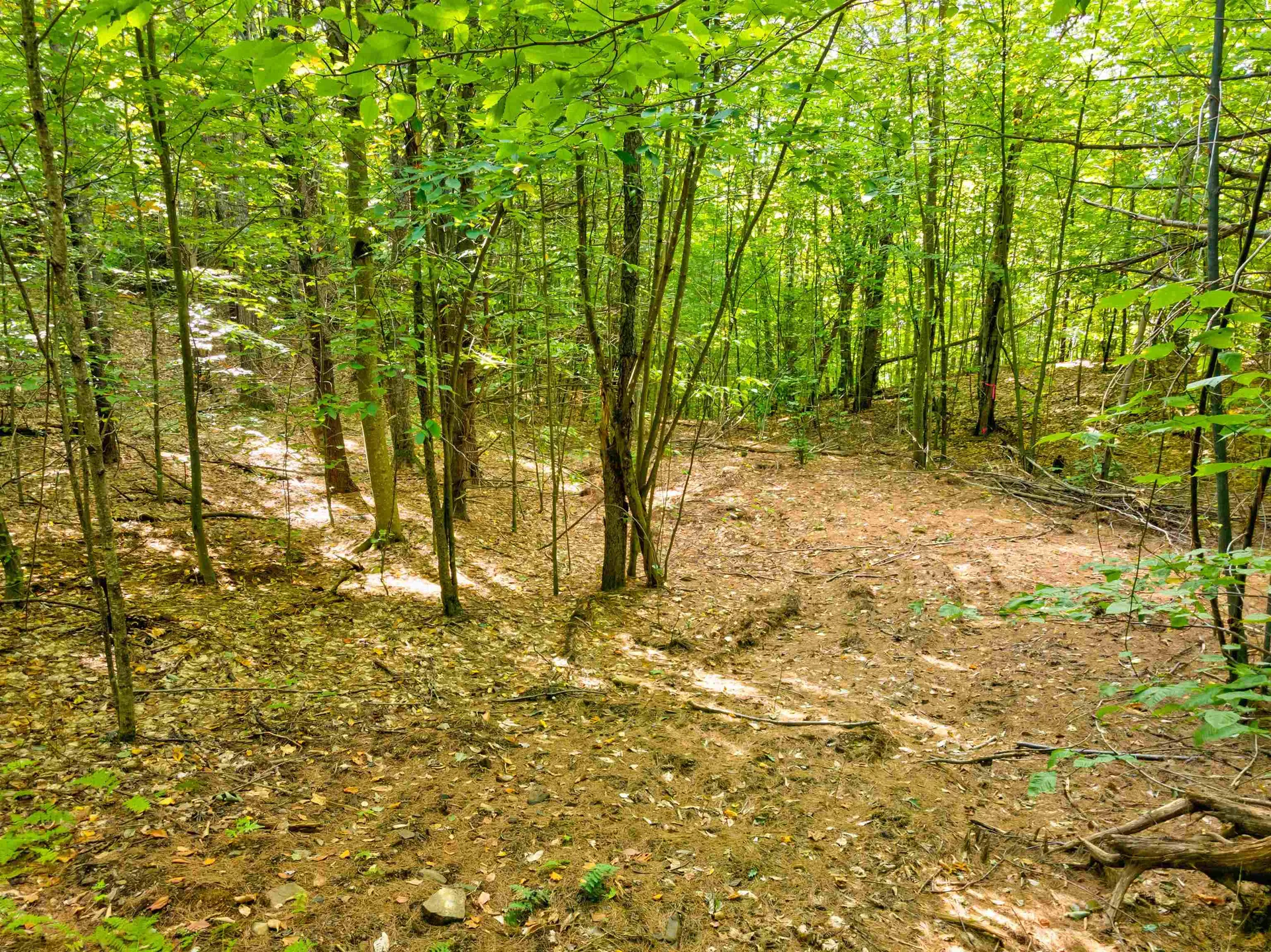 69-1 Advent Hill Road Hartland VT 05048