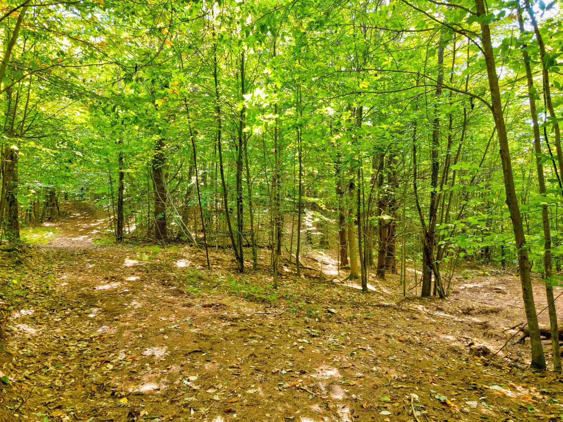 69-1 Advent Hill Road Hartland VT 05048