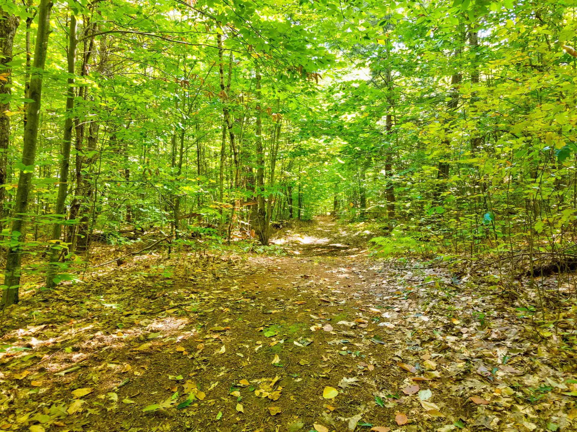 69-1 Advent Hill Road Hartland VT 05048