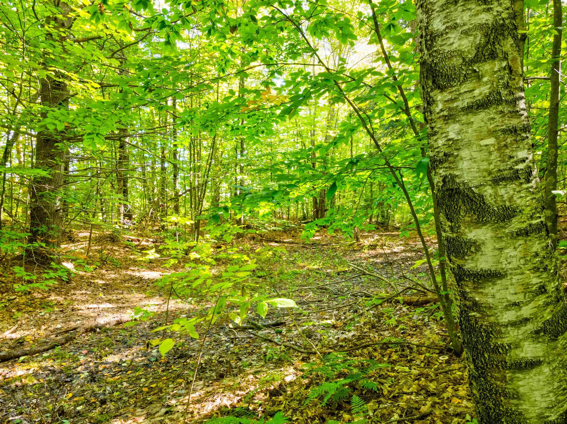 69-1 Advent Hill Road Hartland VT 05048