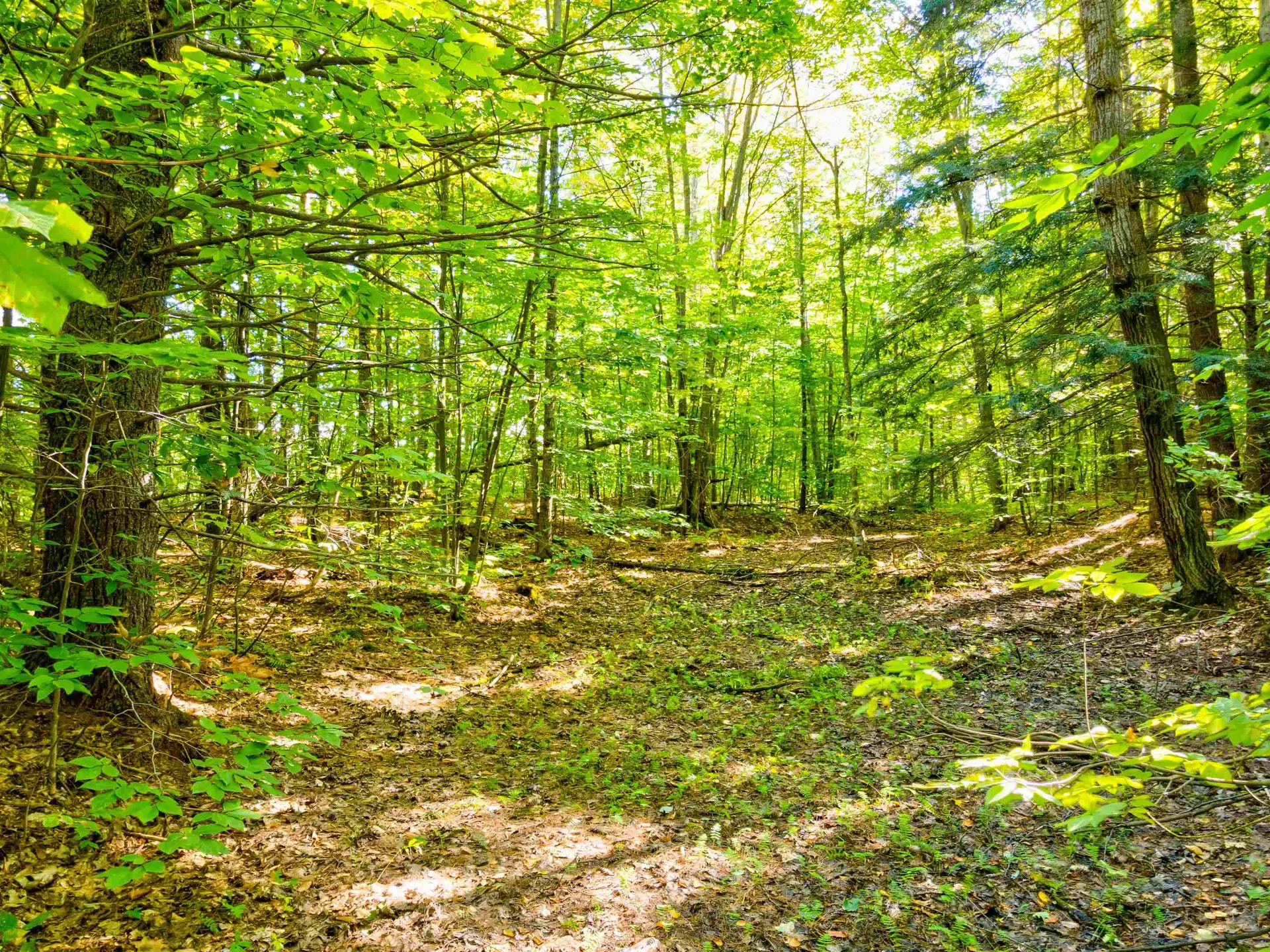 69-1 Advent Hill Road Hartland VT 05048