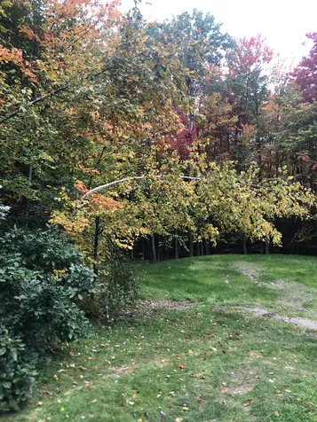45 Bowman Road Springfield NH 03284
