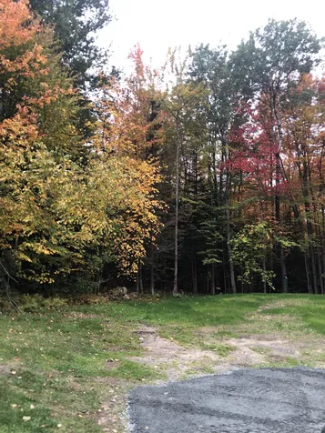 45 Bowman Road Springfield NH 03284