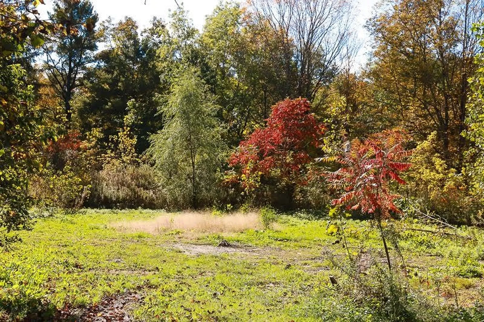 506 Belden Falls Road New Haven VT 05472