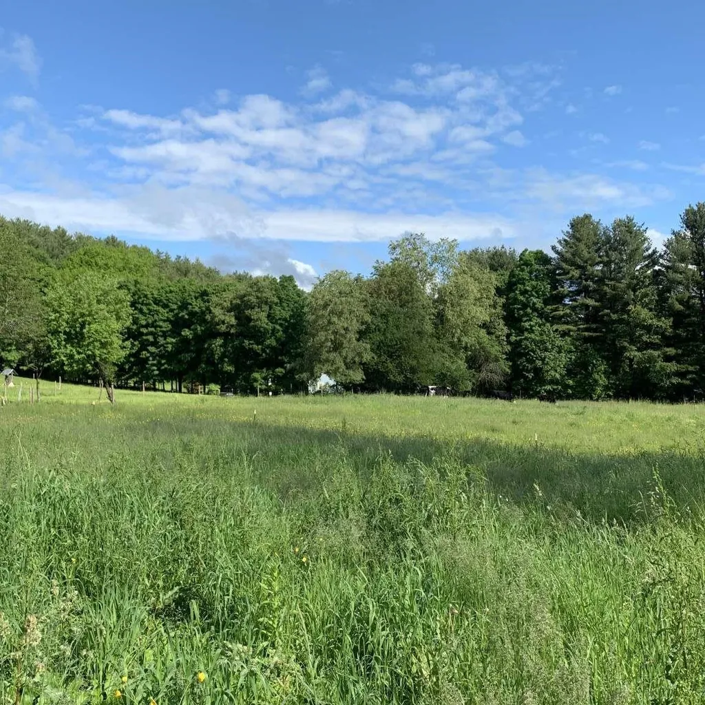 16 Spring Hill Road Putney VT 05346