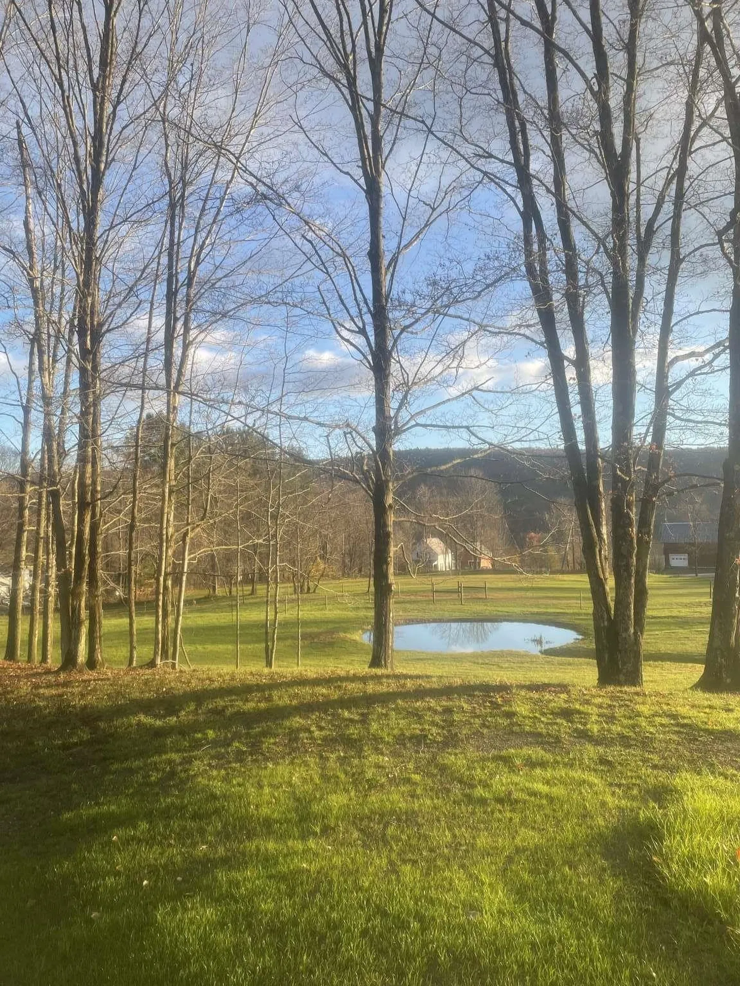 16 Spring Hill Road Putney VT 05346