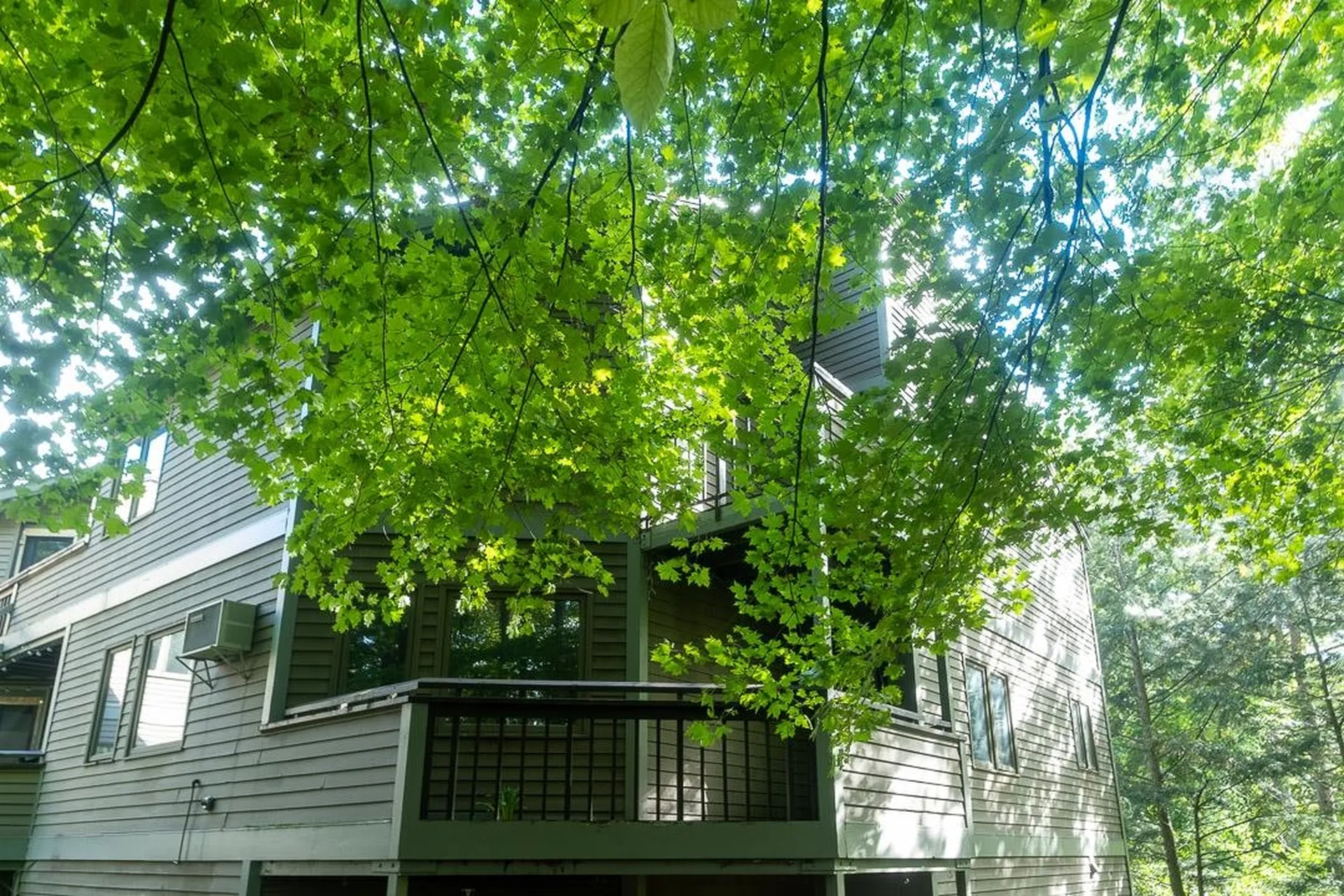 54 East Redrock Drive Burlington VT 05401
