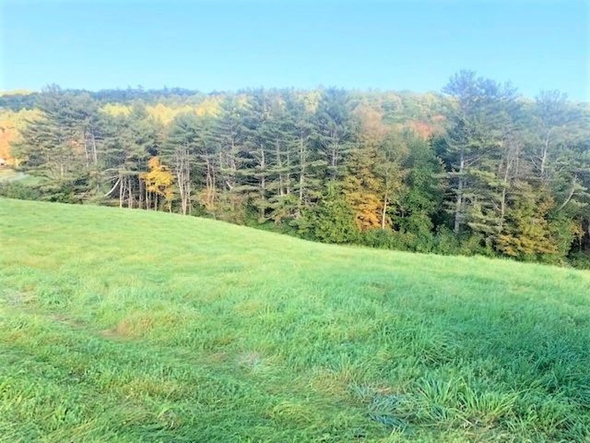 00 Route 12a Plainfield NH 03781