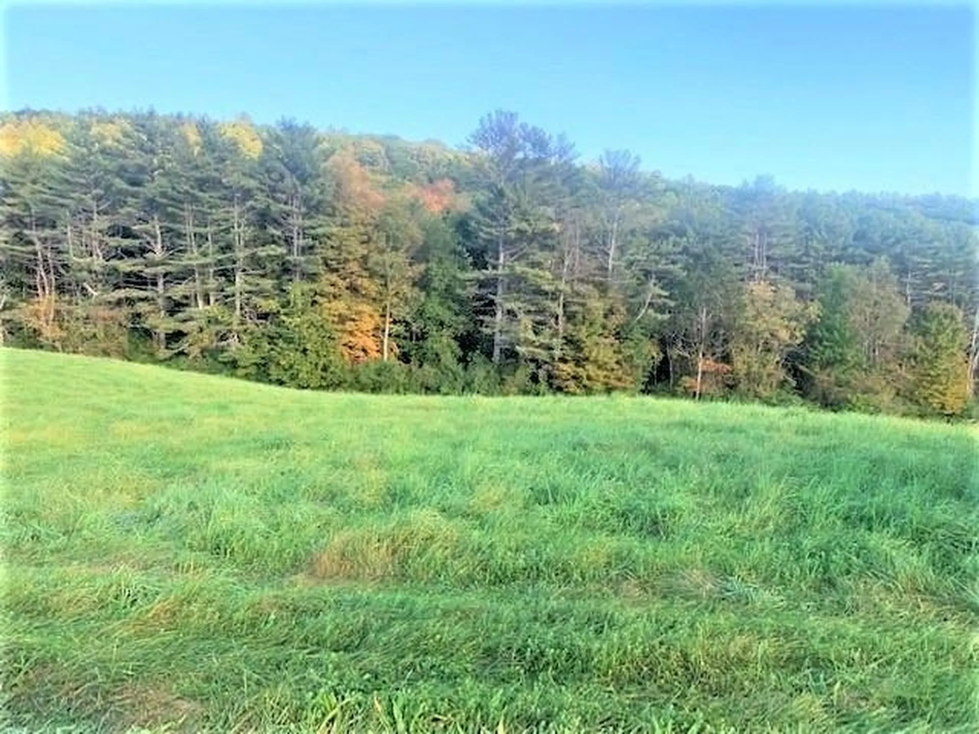 00 Route 12a Plainfield NH 03781