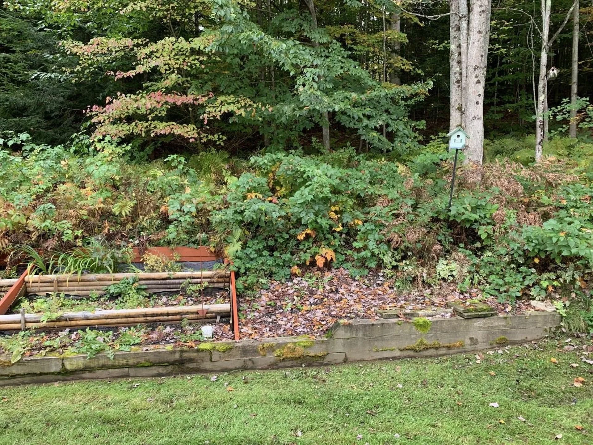 17 Woodland Drive Springfield VT 05156