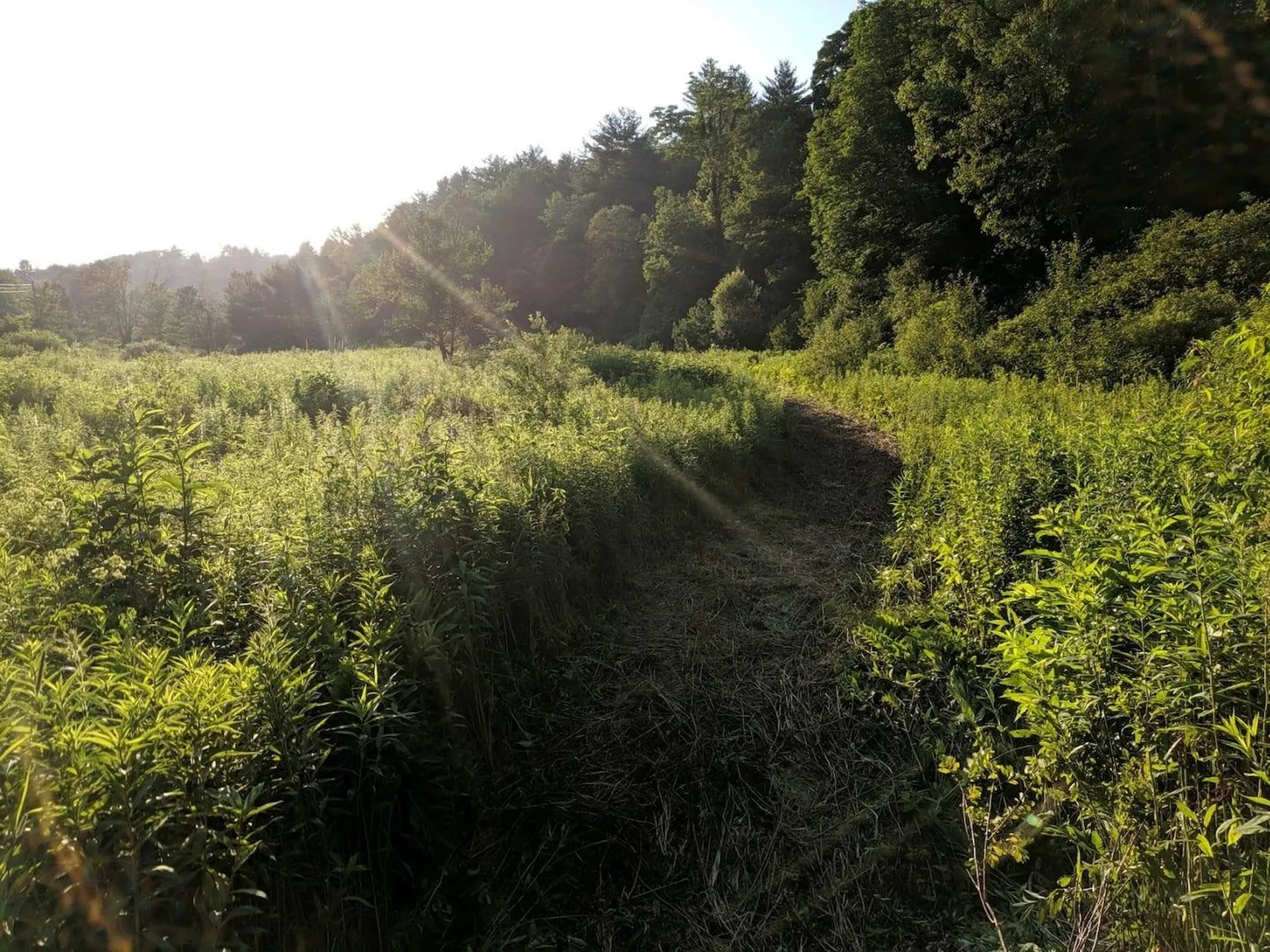 1497 Route 10 Chester VT 05143