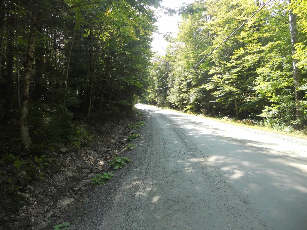 521 Miller Pond Road Grantham NH 03753