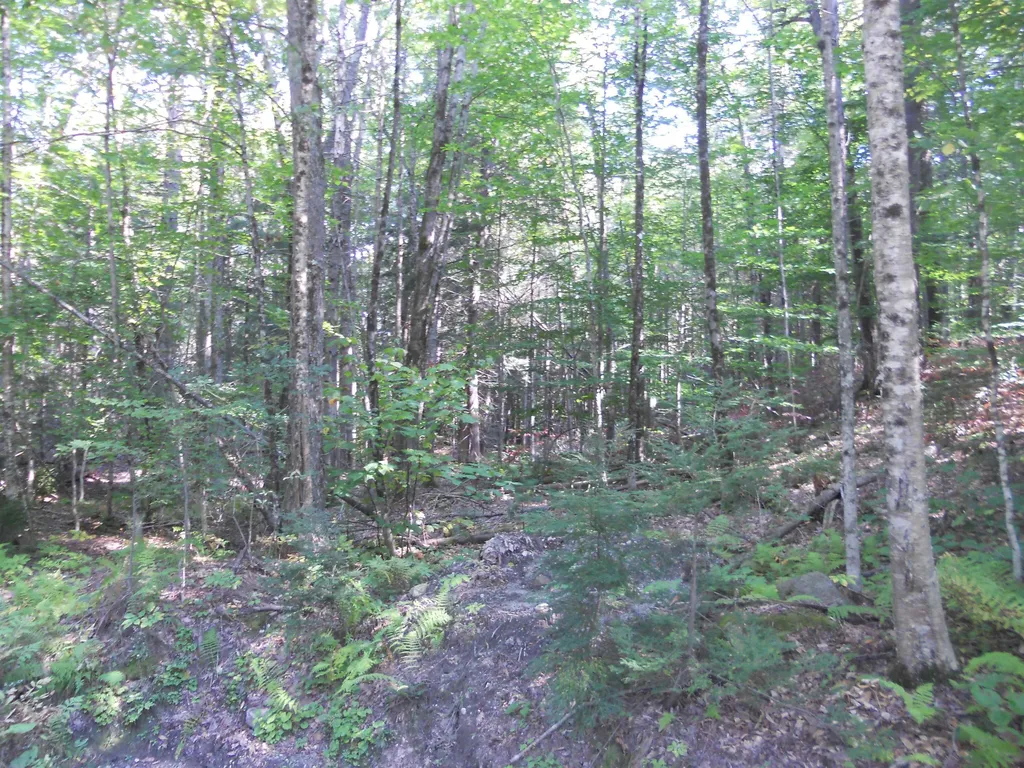 521 Miller Pond Road Grantham NH 03753