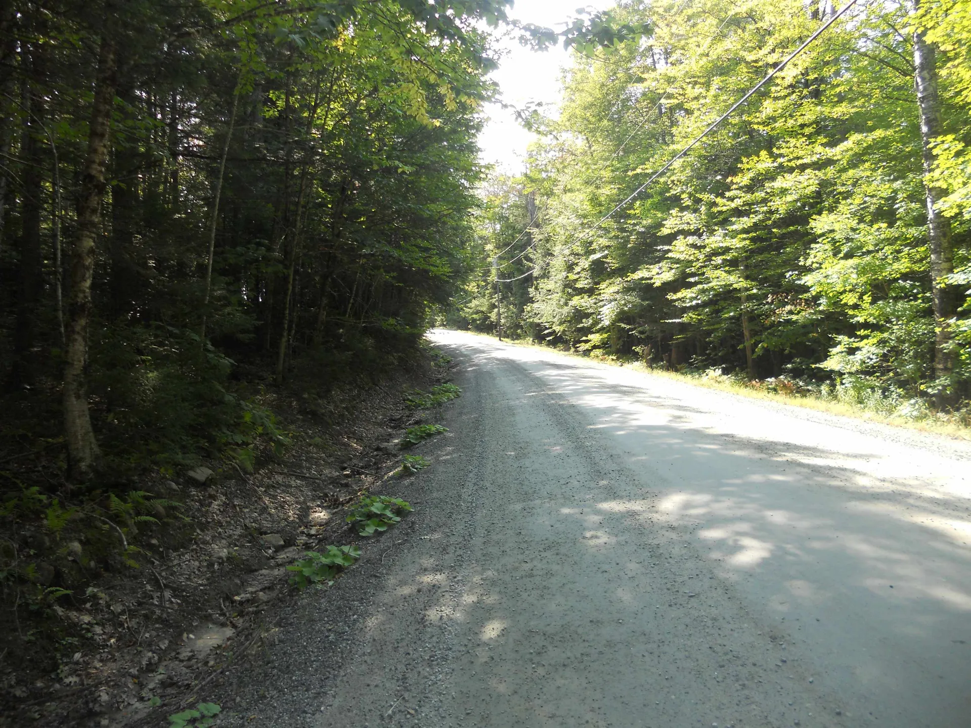 521 Miller Pond Road Grantham NH 03753
