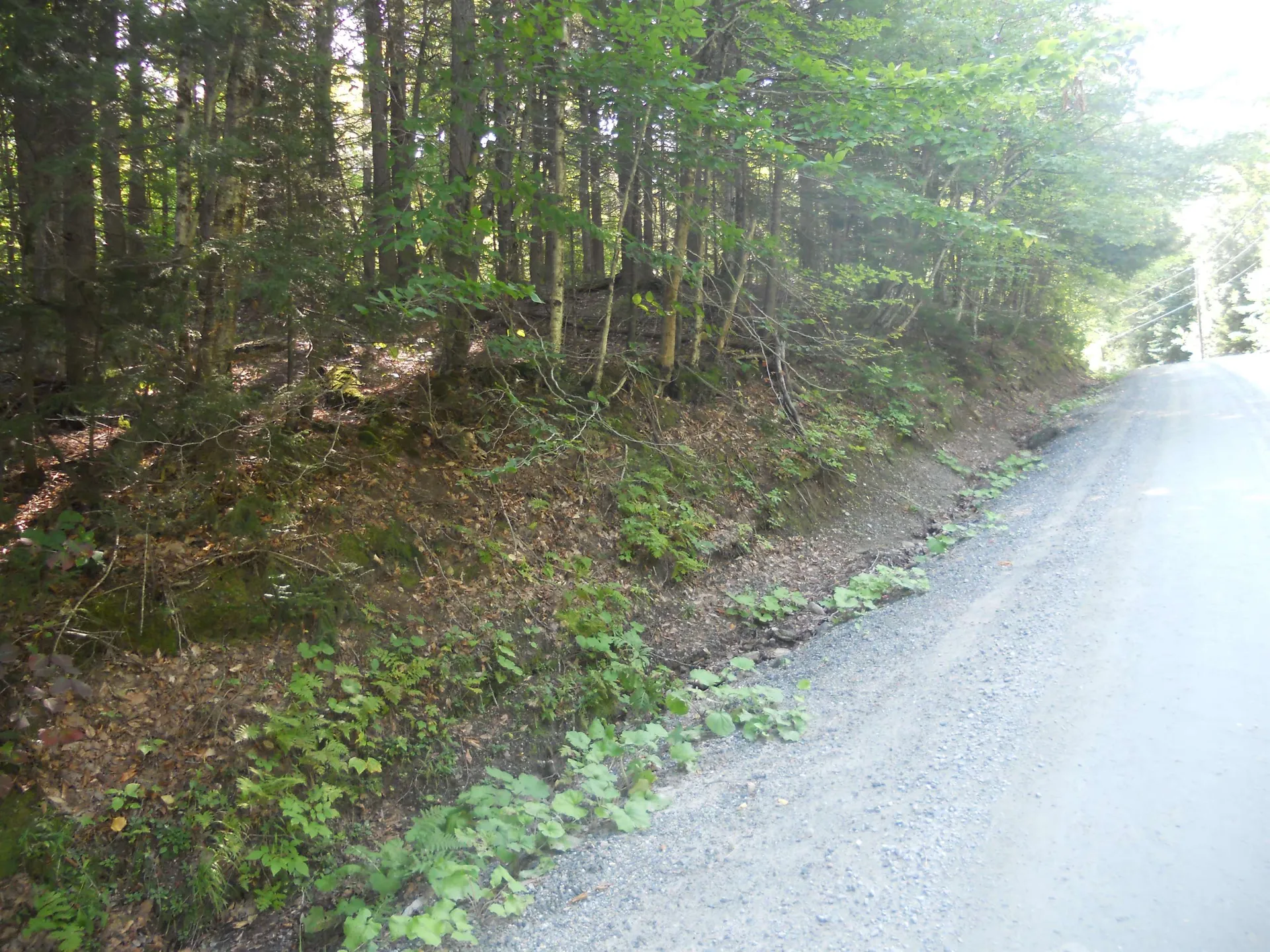 521 Miller Pond Road Grantham NH 03753