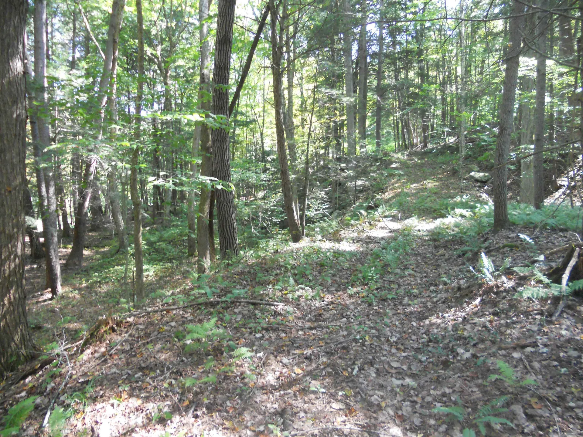 521 Miller Pond Road Grantham NH 03753