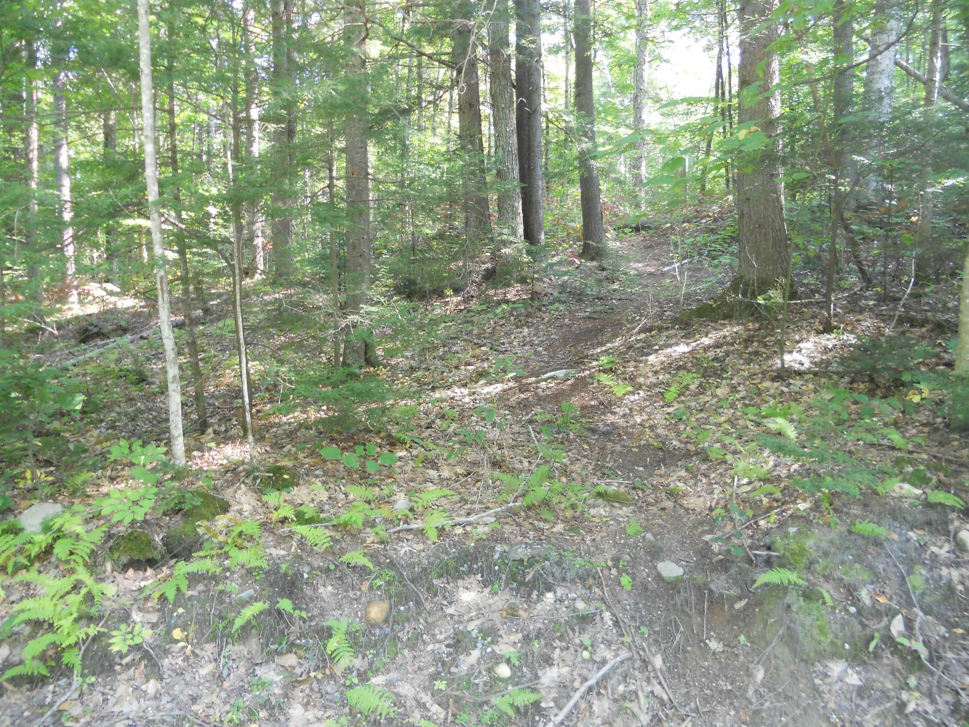 521 Miller Pond Road Grantham NH 03753