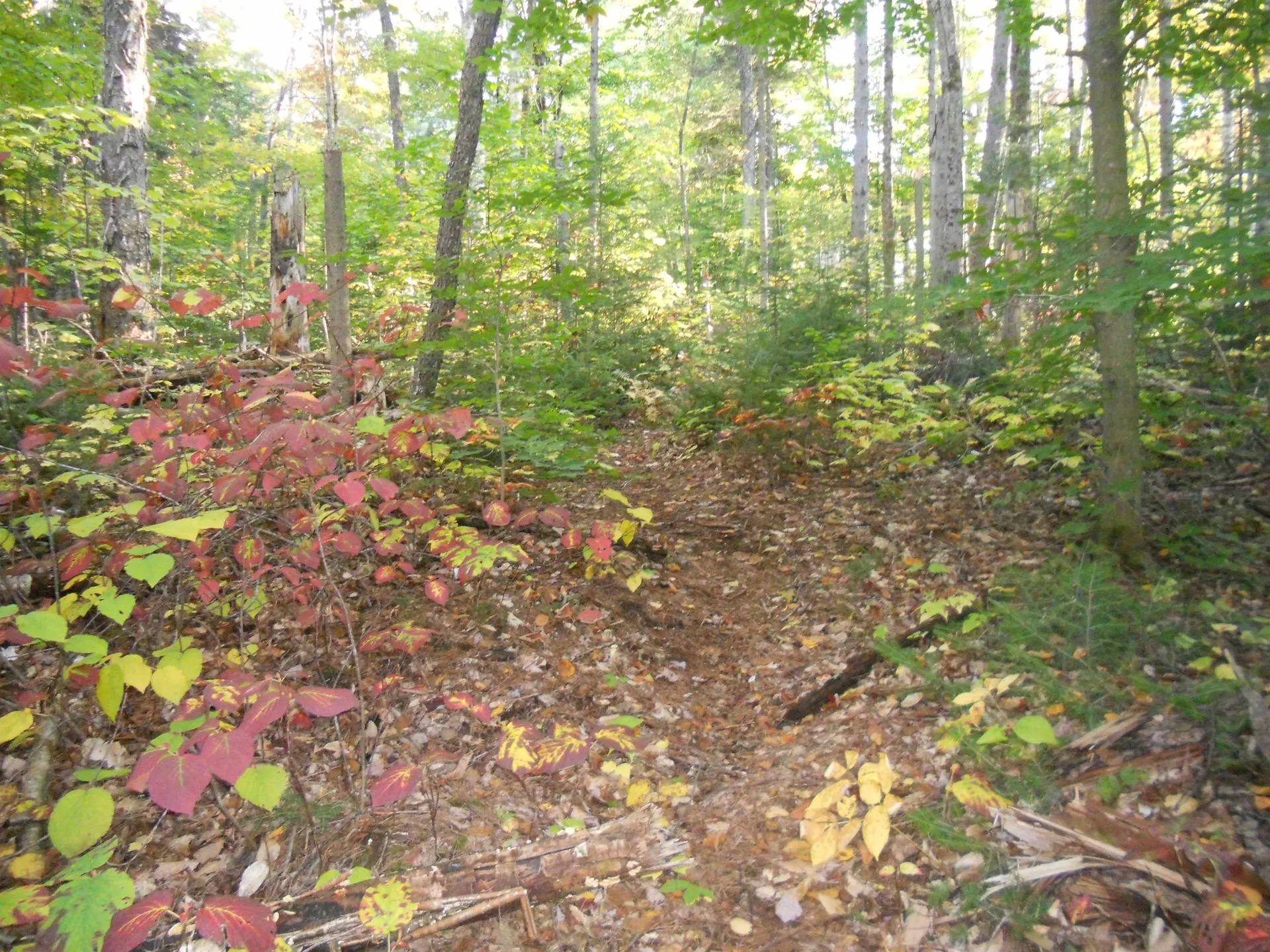 521 Miller Pond Road Grantham NH 03753