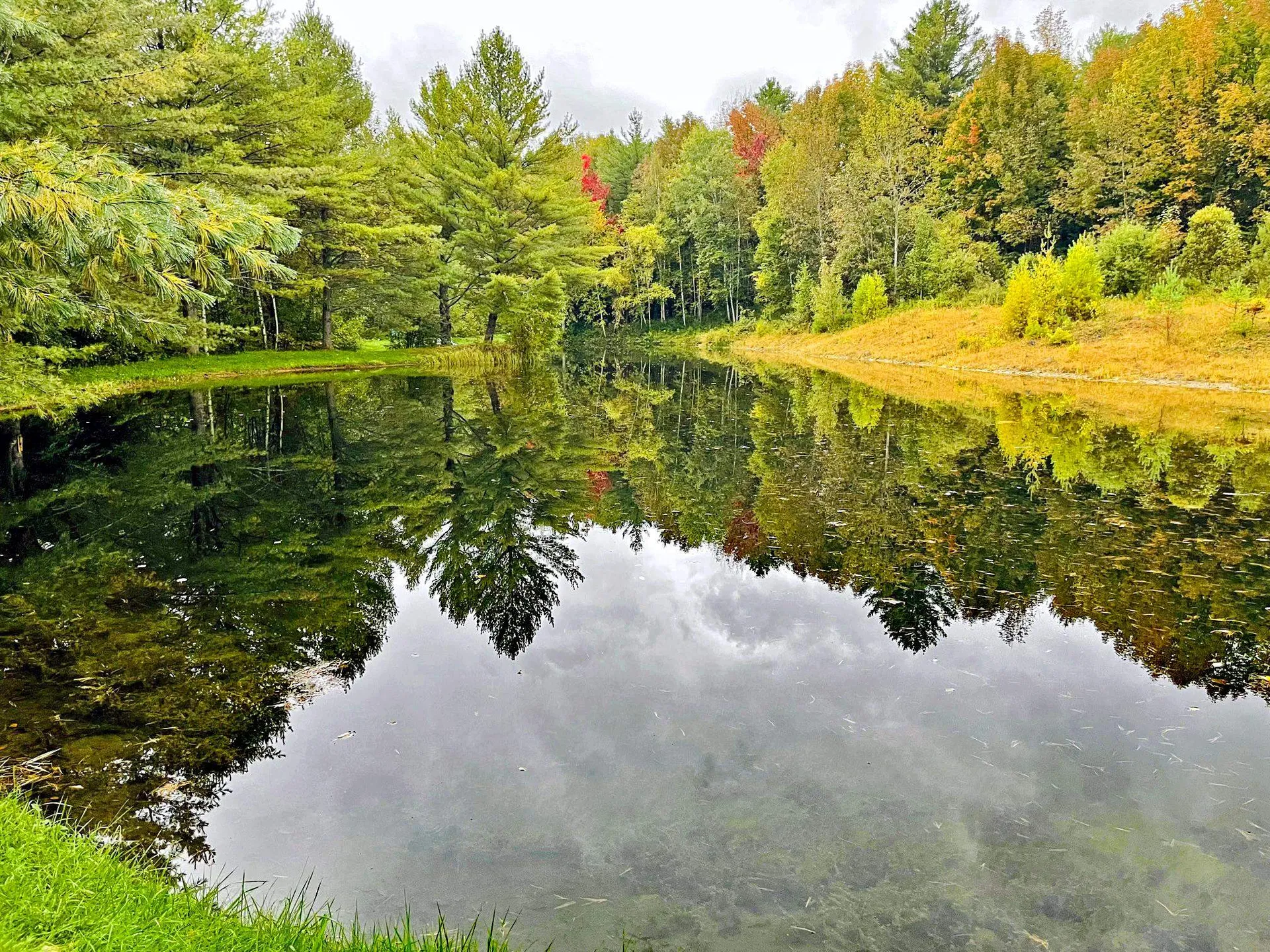 216 Valley View Drive Brookfield VT 05036