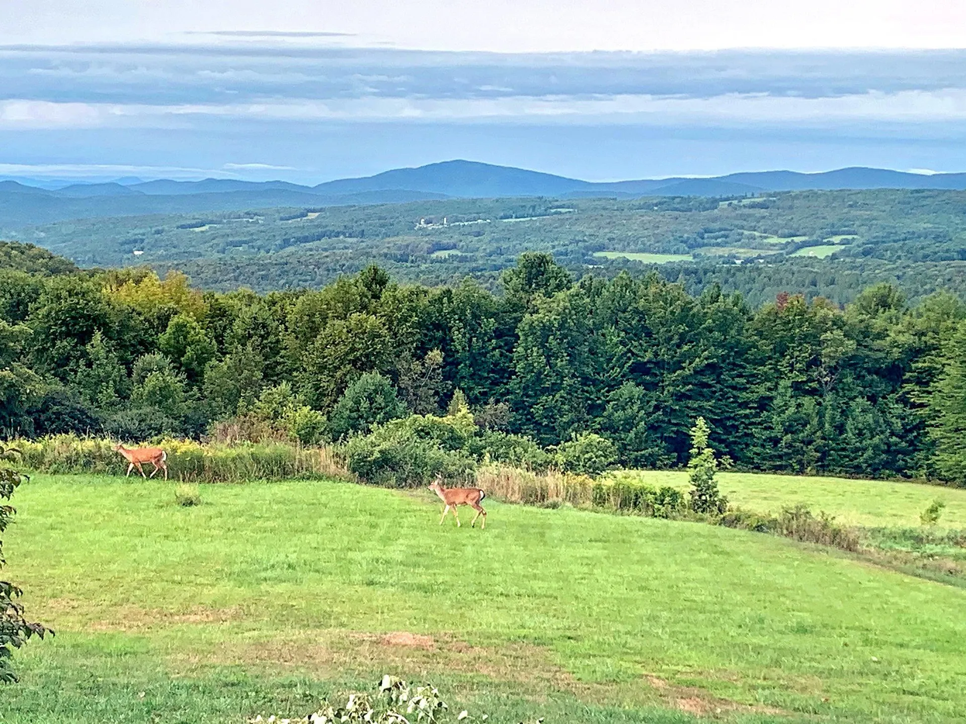 216 Valley View Drive Brookfield VT 05036