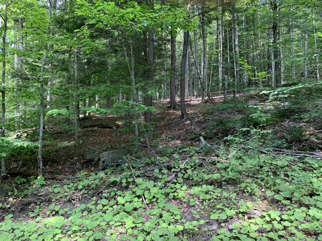 0 Deer Brook Way Woodstock VT 05091