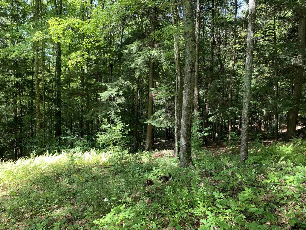 0 Deer Brook Way Woodstock VT 05091