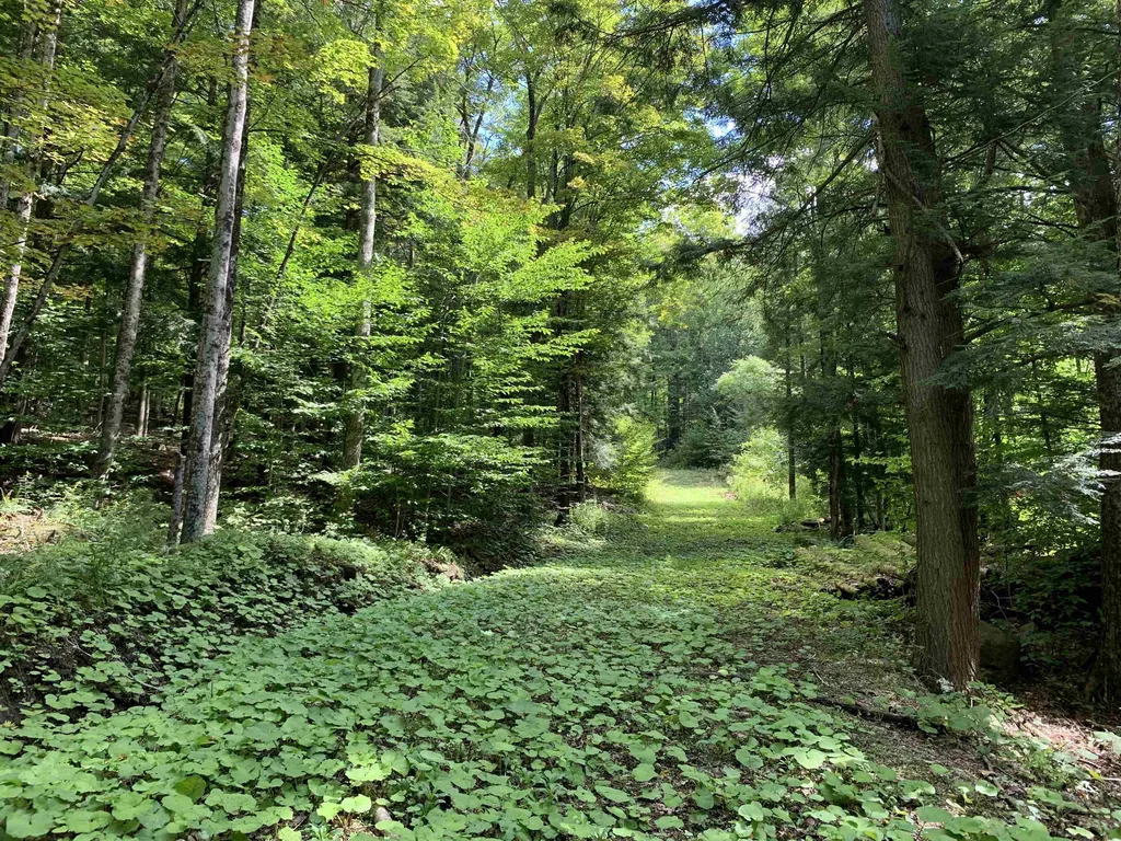 0 Deer Brook Way Woodstock VT 05091
