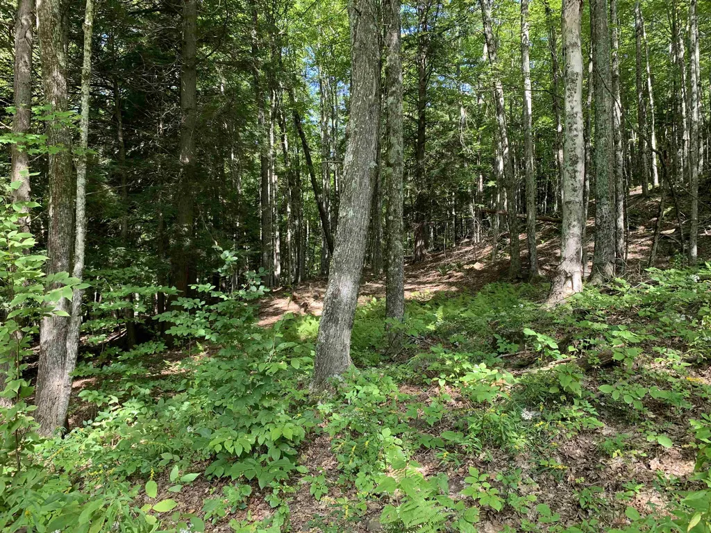 0 Deer Brook Way Woodstock VT 05091