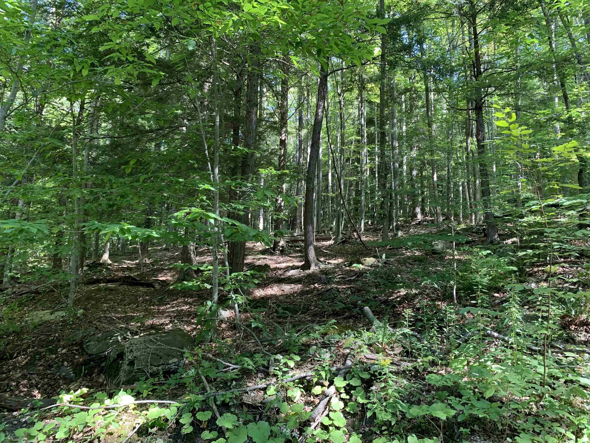 0 Deer Brook Way Woodstock VT 05091