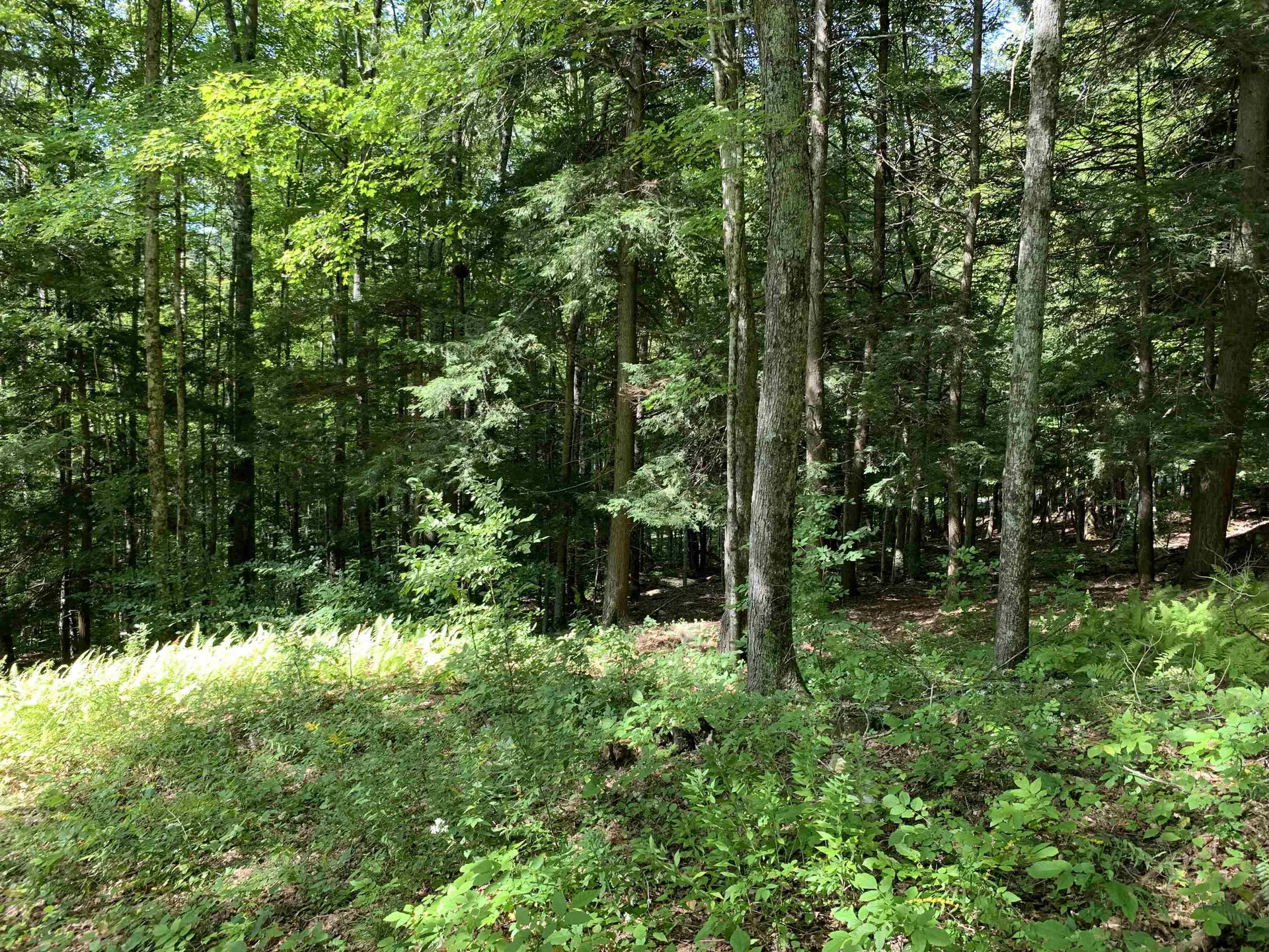 0 Deer Brook Way Woodstock VT 05091