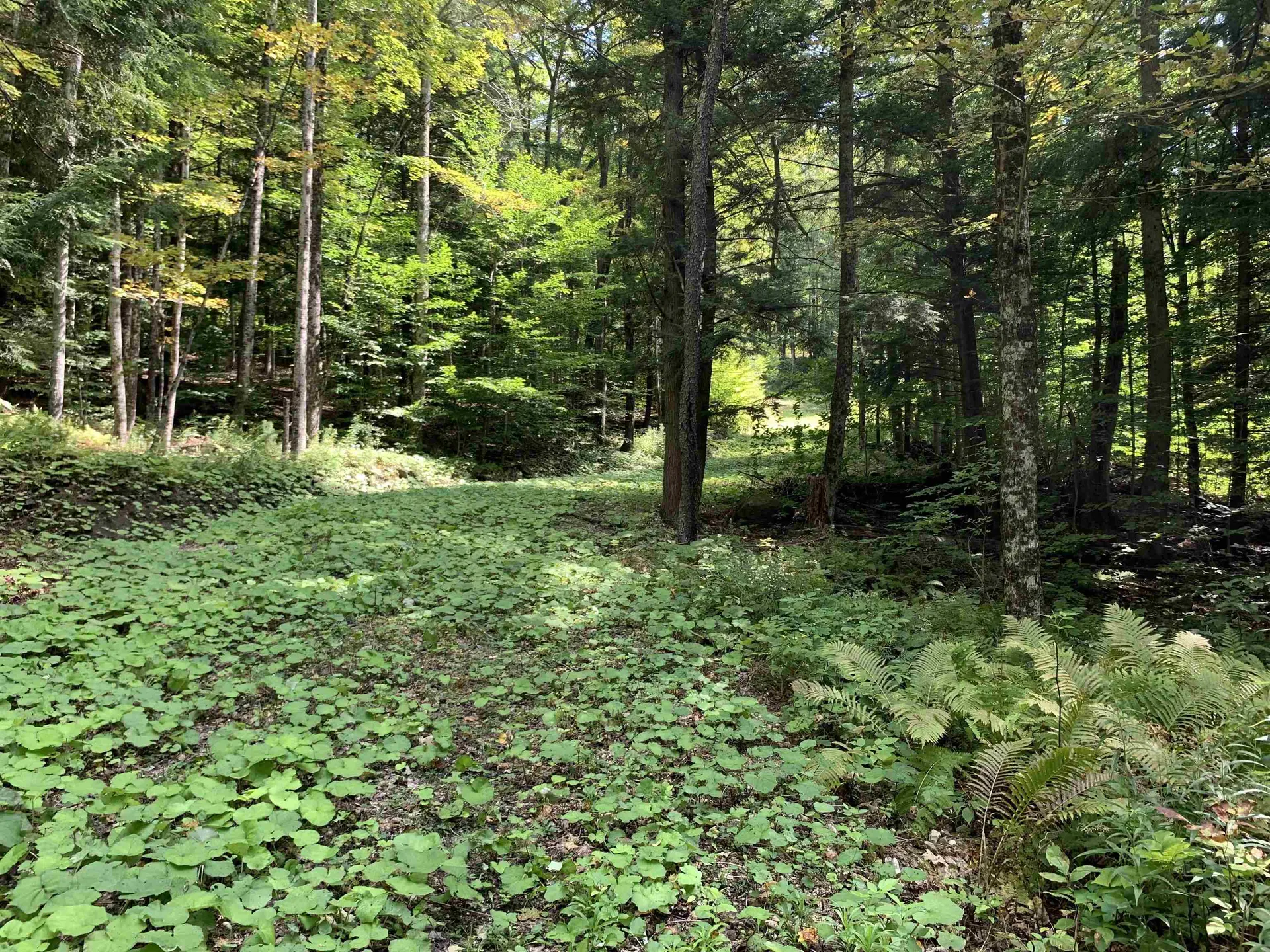 0 Deer Brook Way Woodstock VT 05091