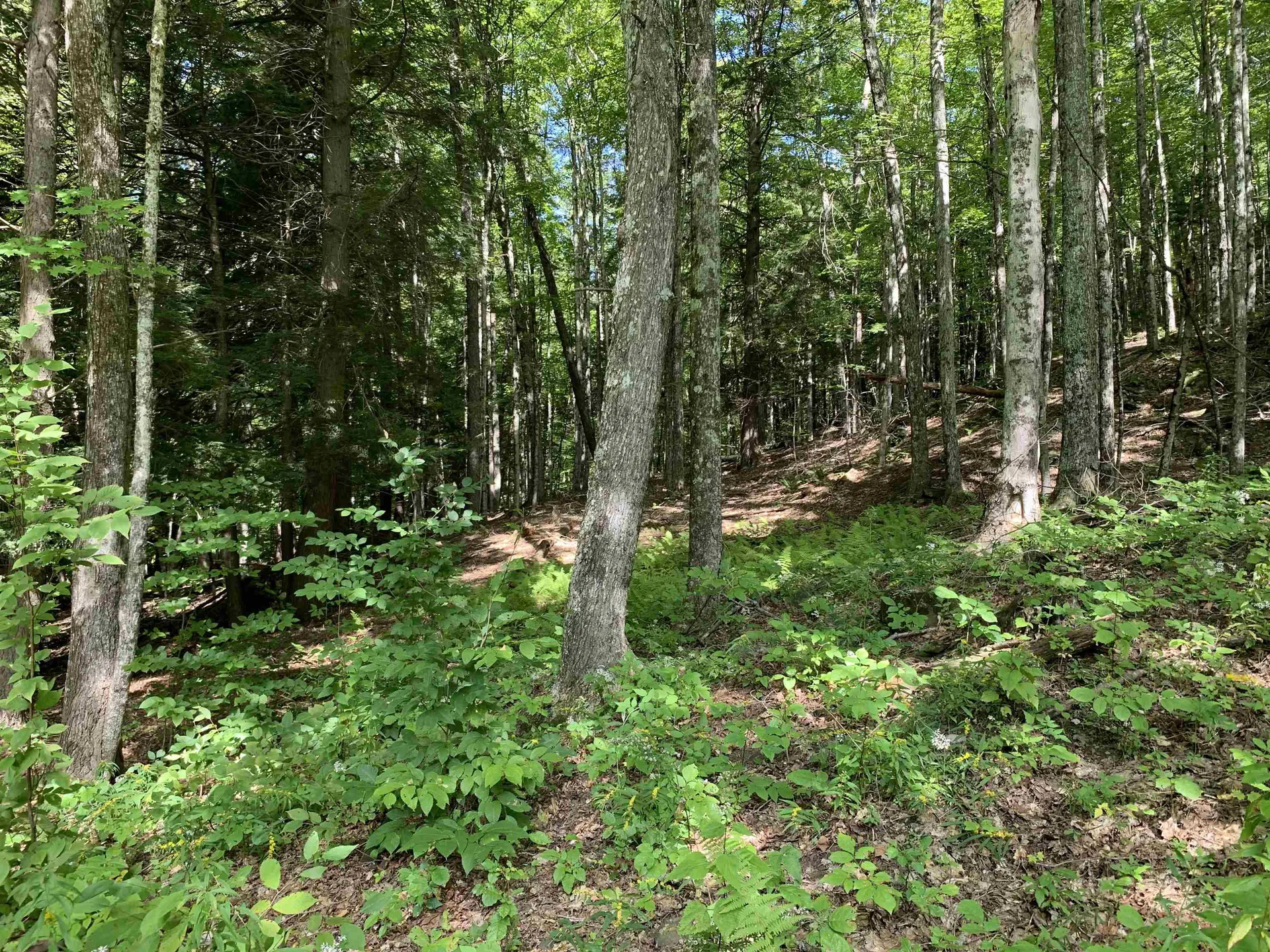 0 Deer Brook Way Woodstock VT 05091