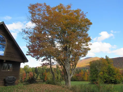 438 Shipman Road Waterville VT 05492