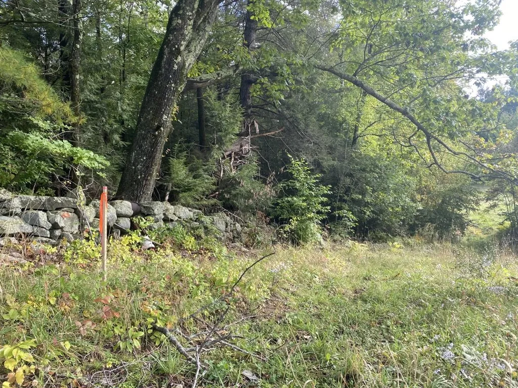 57 Purgatory Road Mont Vernon NH 03057