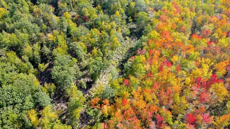 57 Purgatory Road Mont Vernon NH 03057