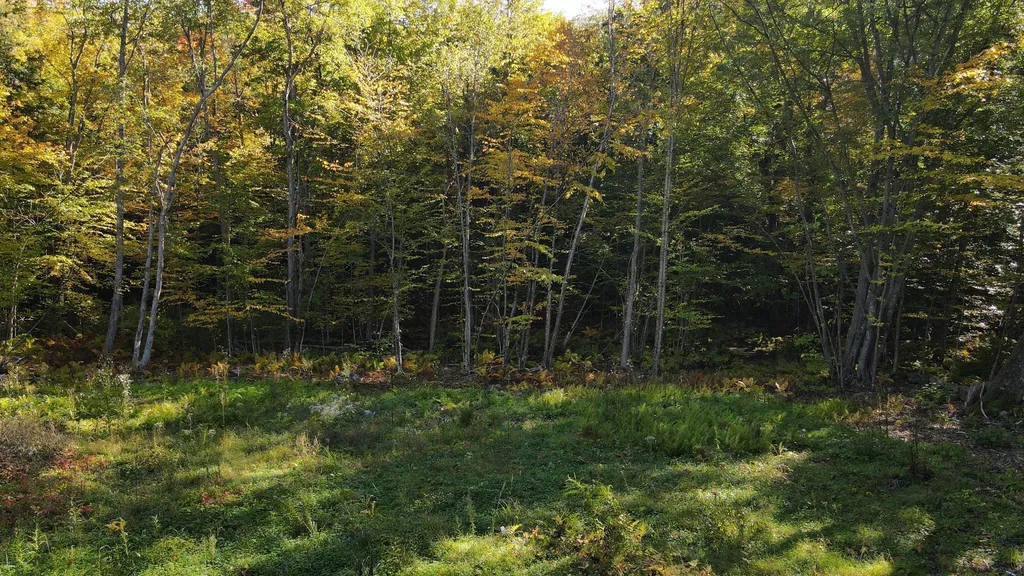 428 Jamestown Road Belmont NH 03220