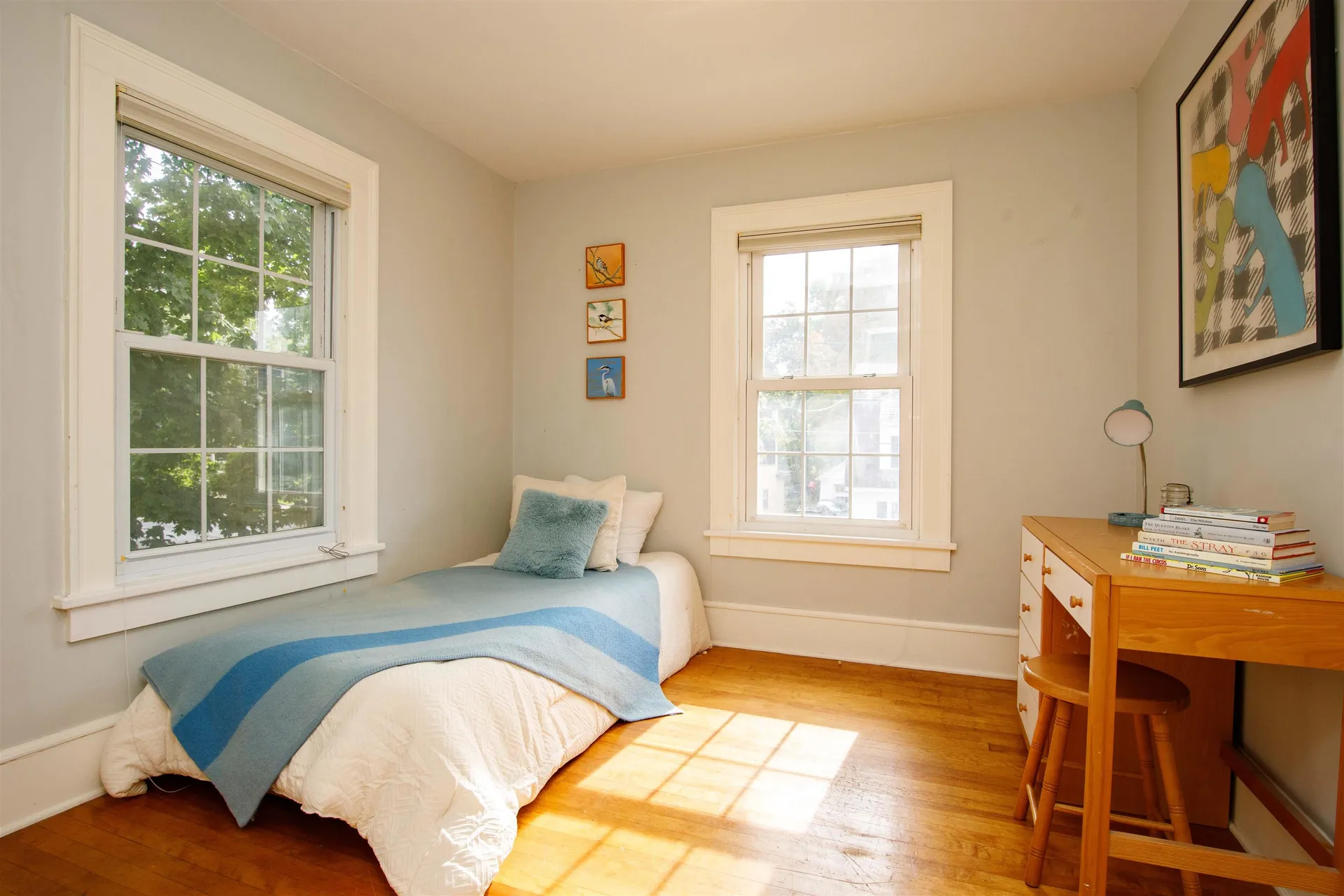 14 Kingsland Terrace Burlington VT 05401