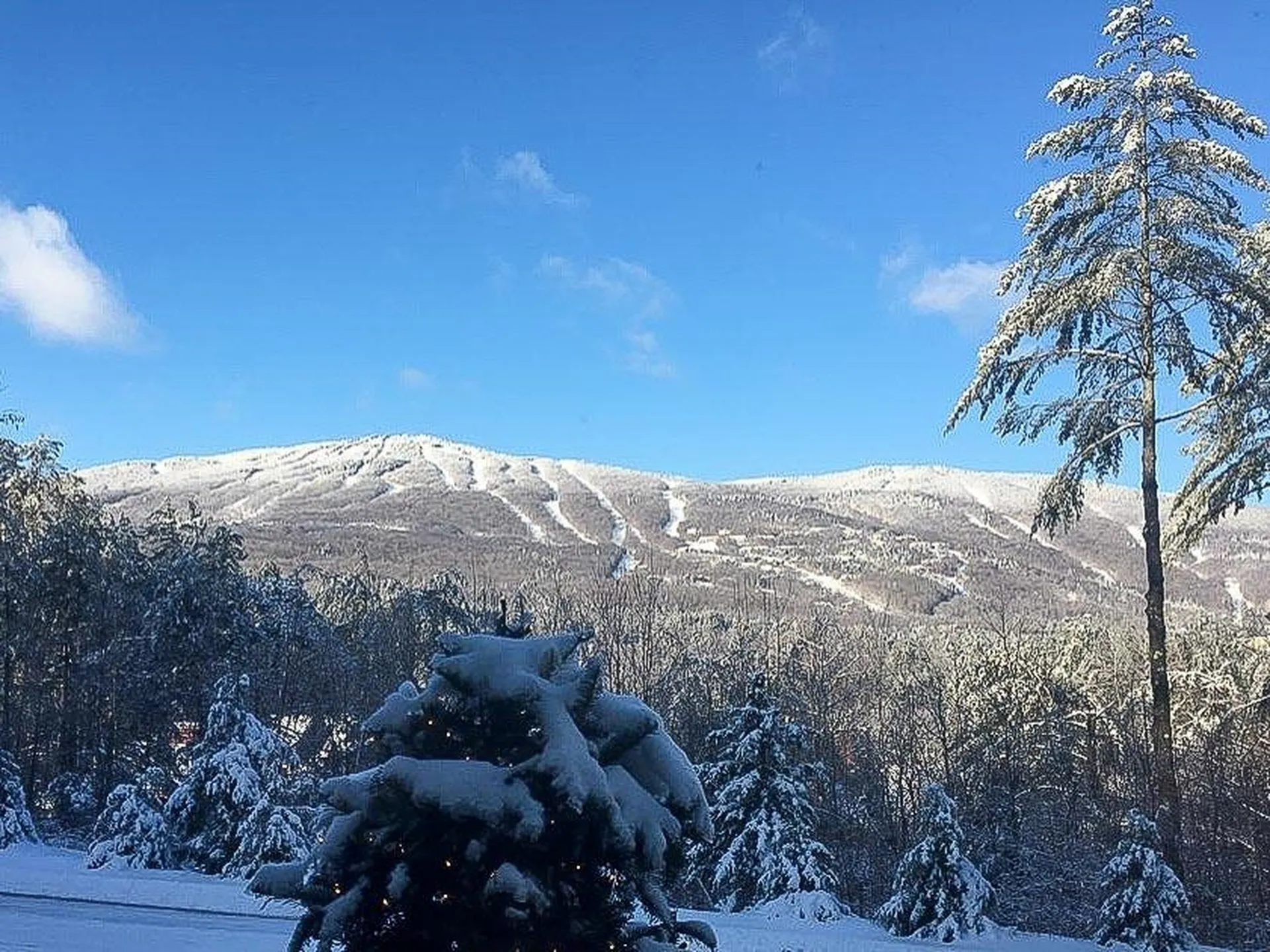 380 Fox Lane Ludlow VT 05149