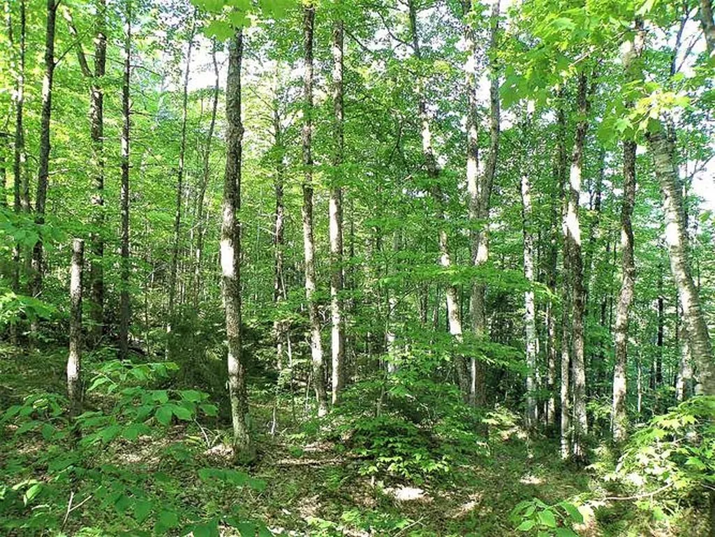0 Hooper Hollow Road Bethel VT 05032