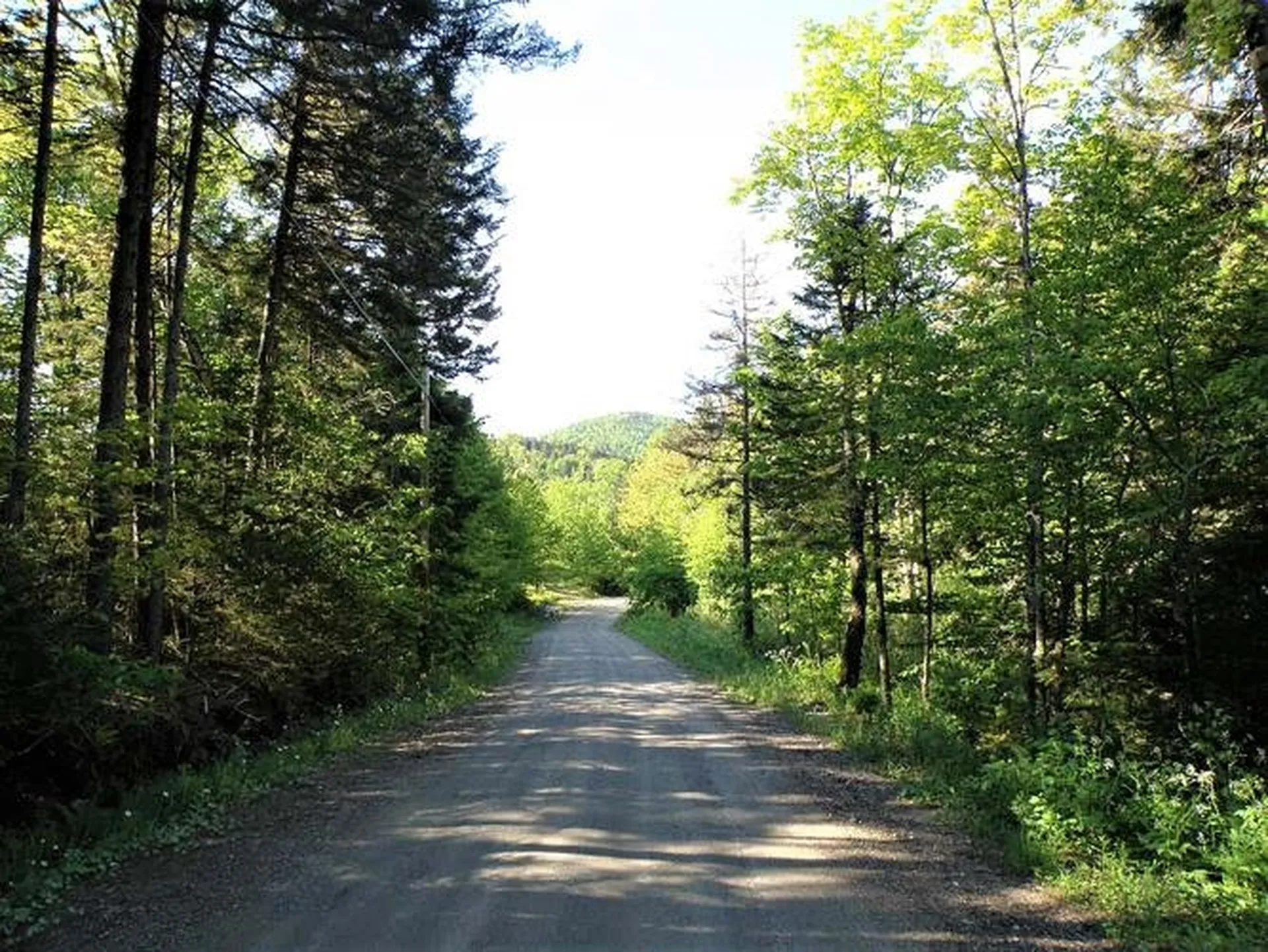 0 Hooper Hollow Road Bethel VT 05032
