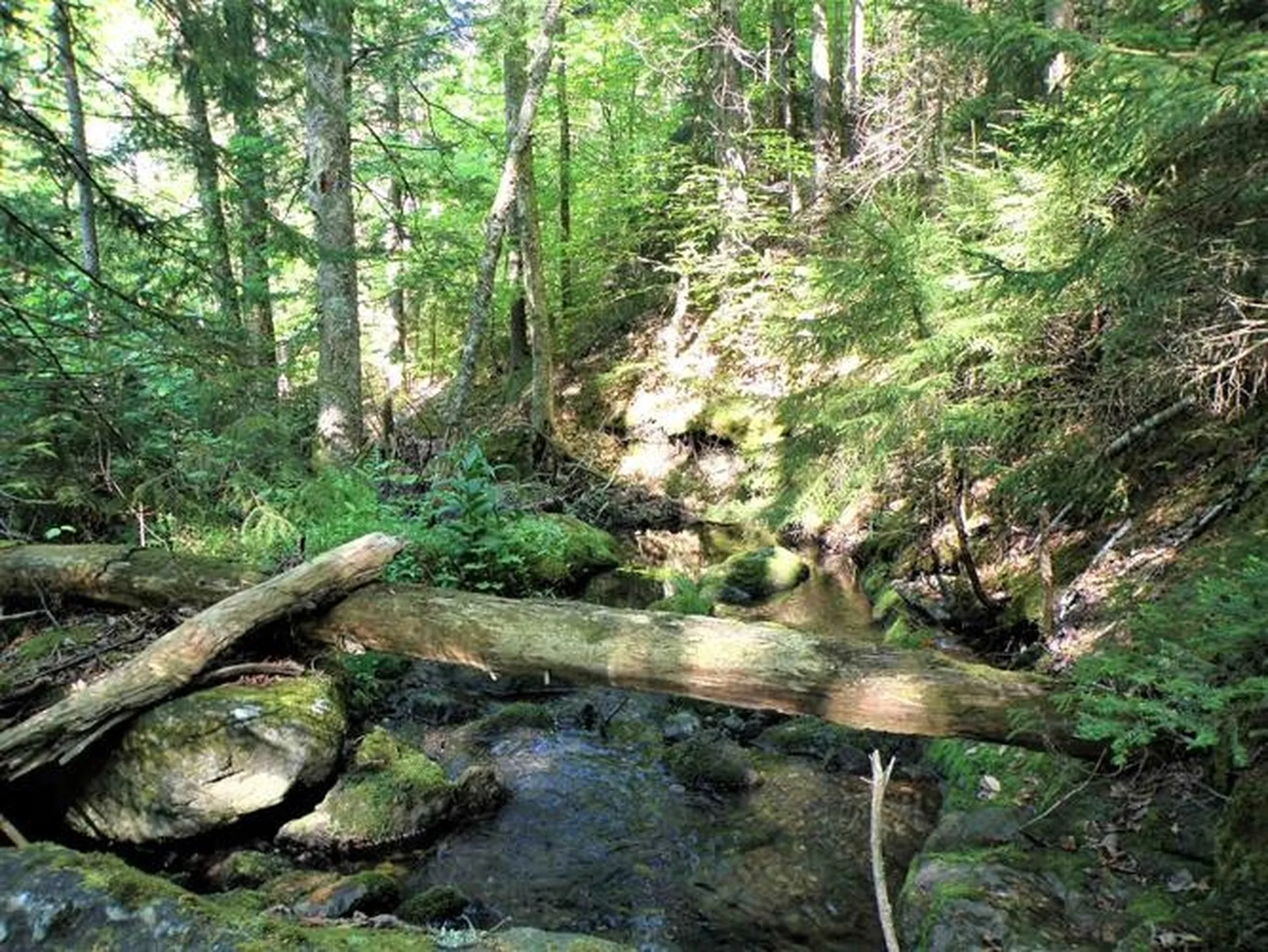 0 Hooper Hollow Road Bethel VT 05032