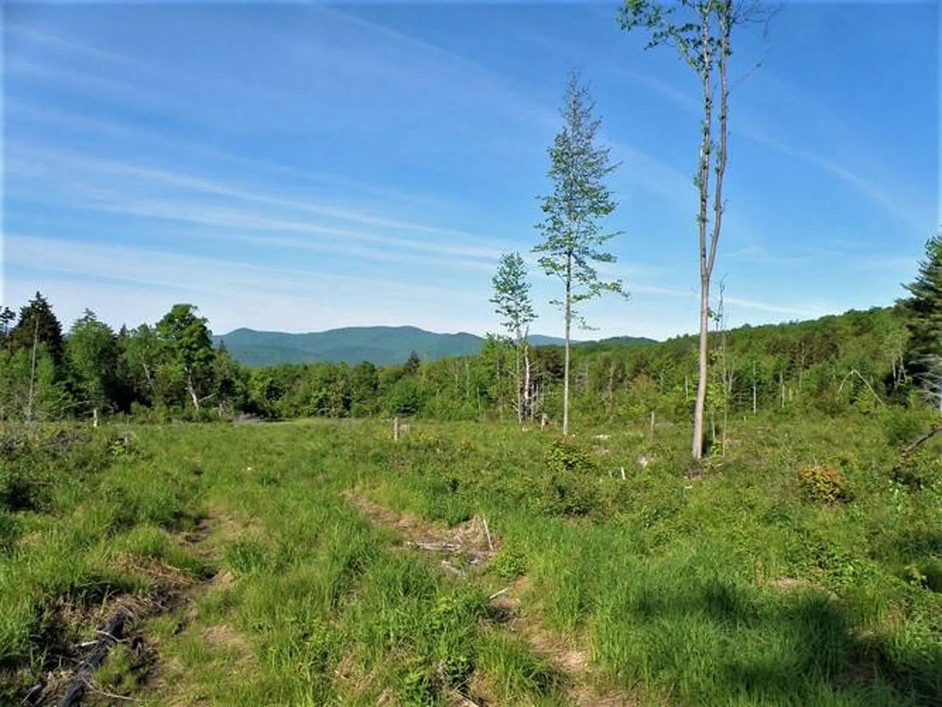 0 Hooper Hollow Road Bethel VT 05032