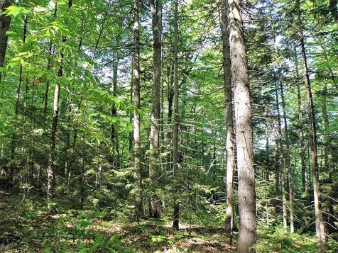 0 Hooper Hollow Road Bethel VT 05032