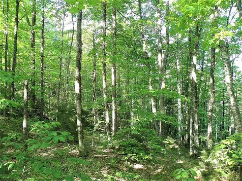 0 Hooper Hollow Road Bethel VT 05032