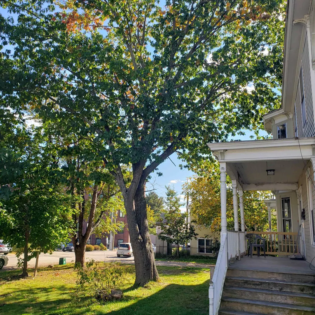 9 Ham Street Dover NH 03820