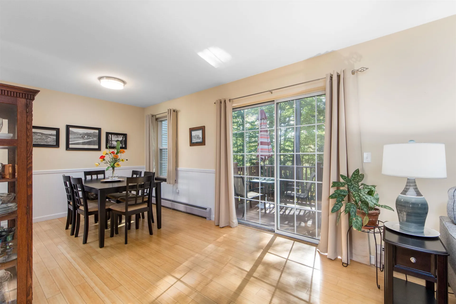 190 Deer Lane Colchester VT 05446