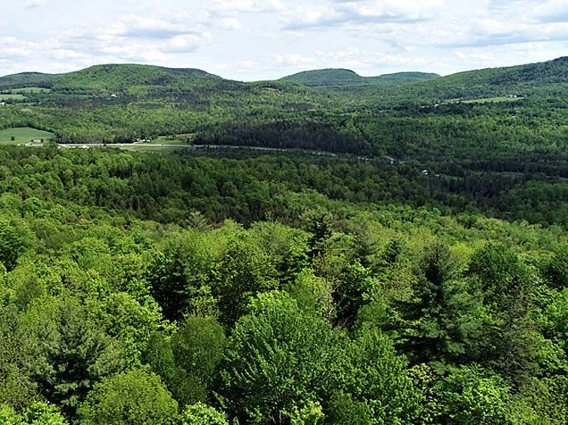 Cabot VT 05647