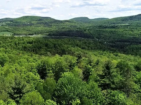 Cabot VT 05647