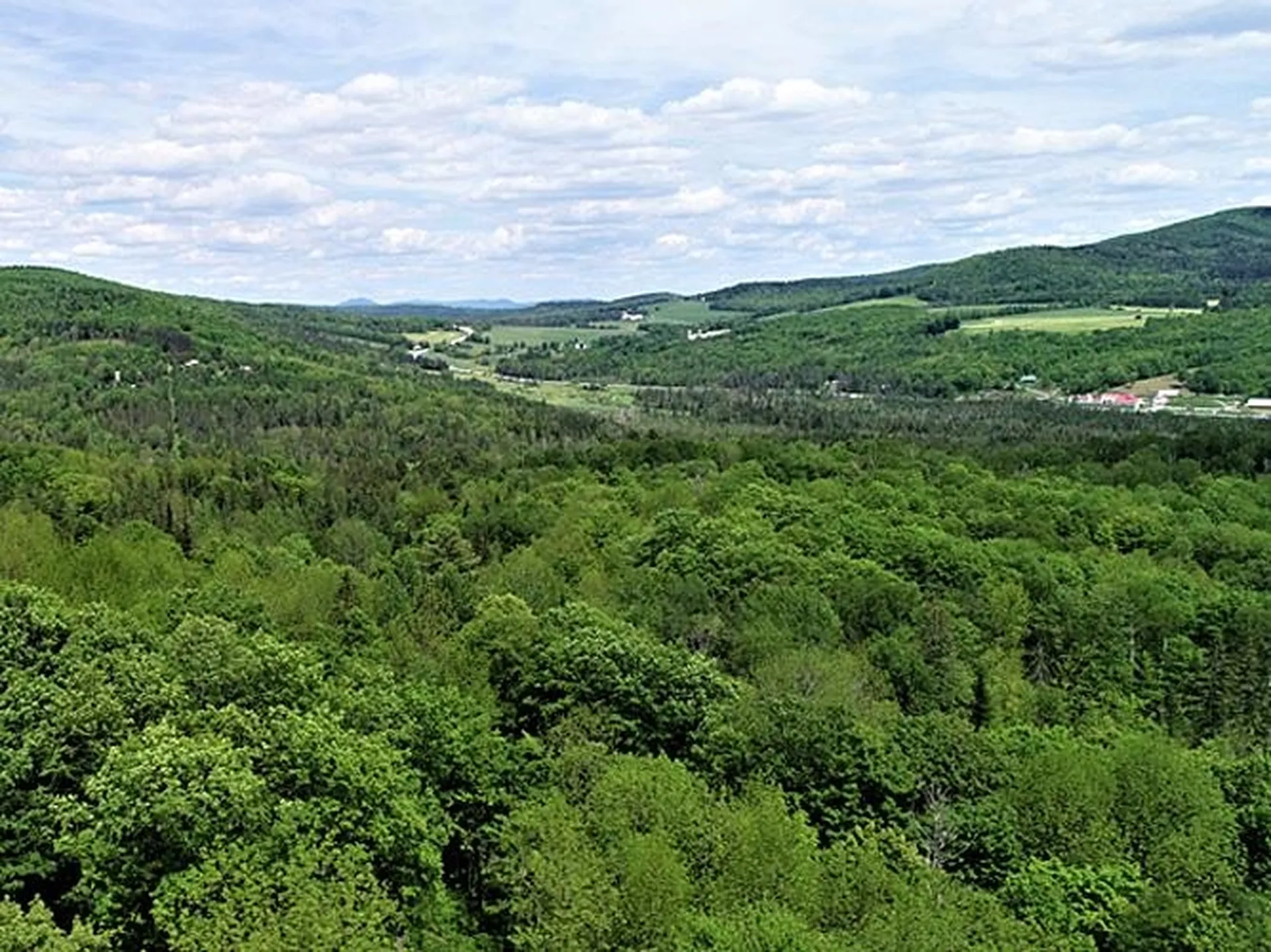 Cabot VT 05647