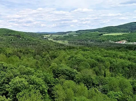 Cabot VT 05647